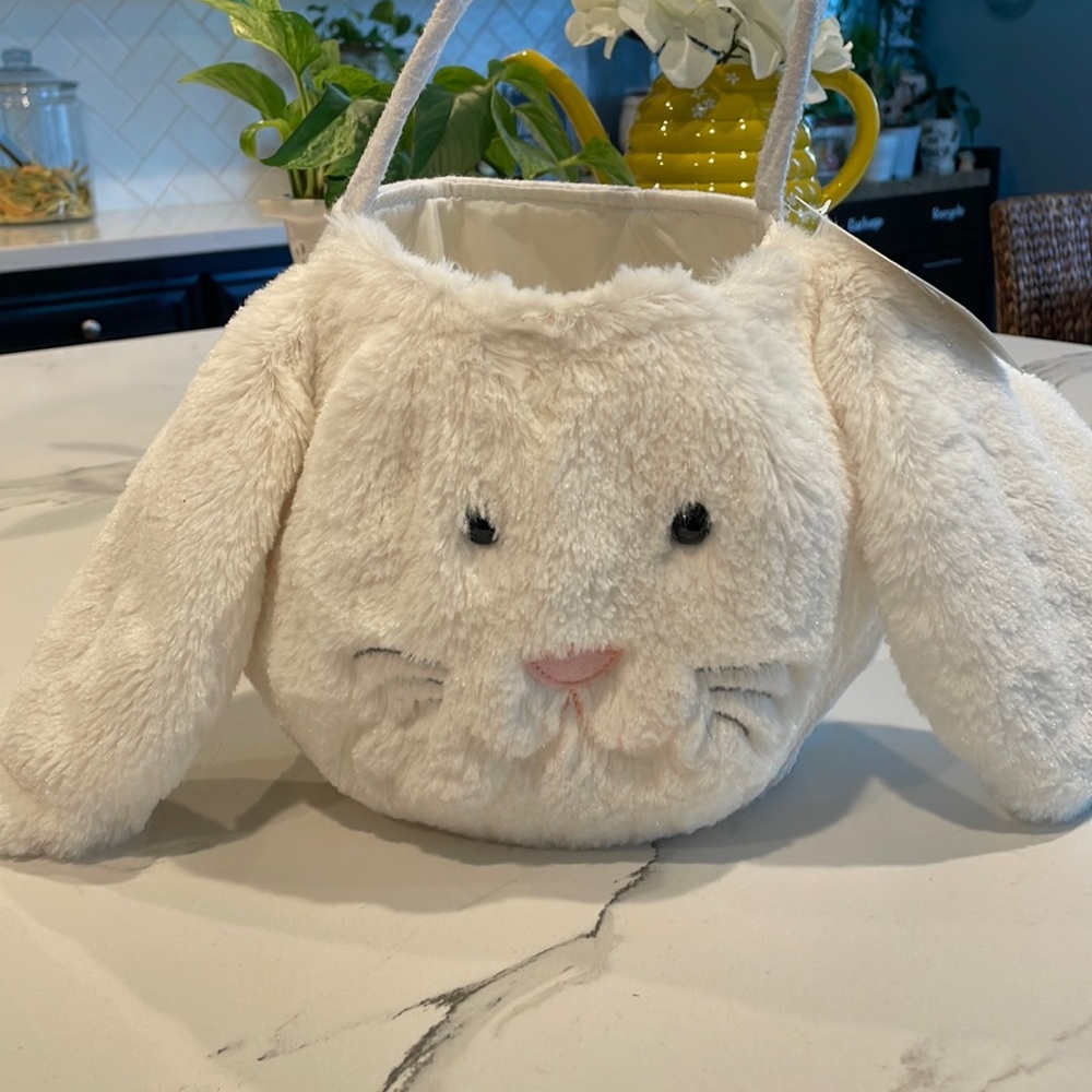 Pottery barn kids new Easter bunny basket